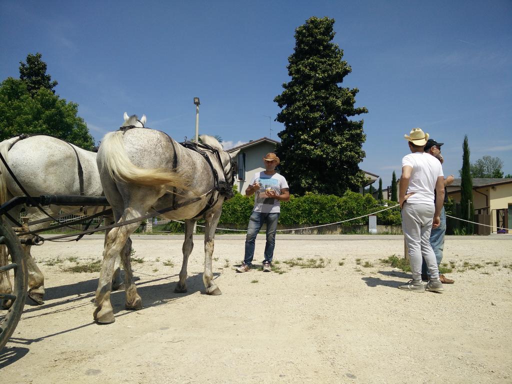 La Siesta Hotel Villafranca di Verona Kültér fotó