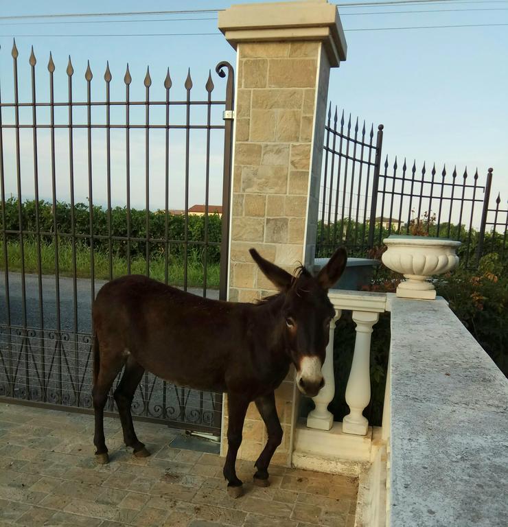 La Siesta Hotel Villafranca di Verona Kültér fotó