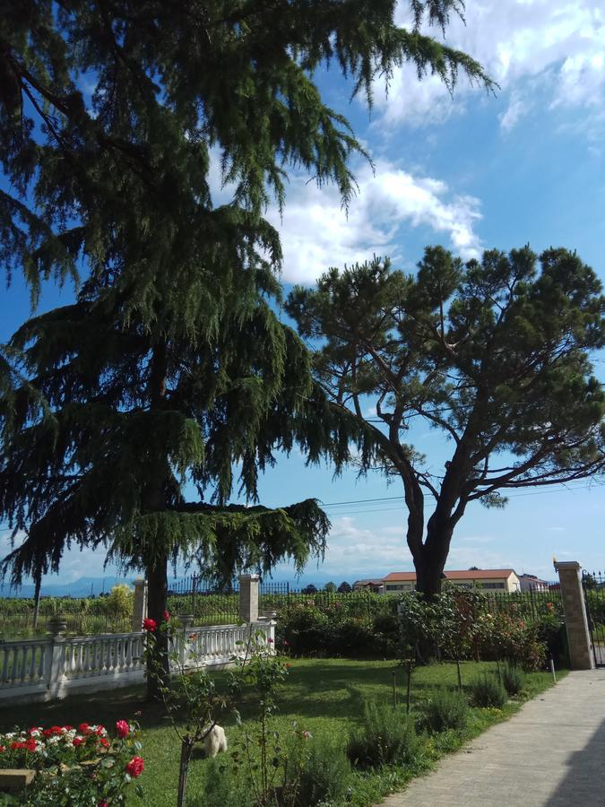 La Siesta Hotel Villafranca di Verona Kültér fotó