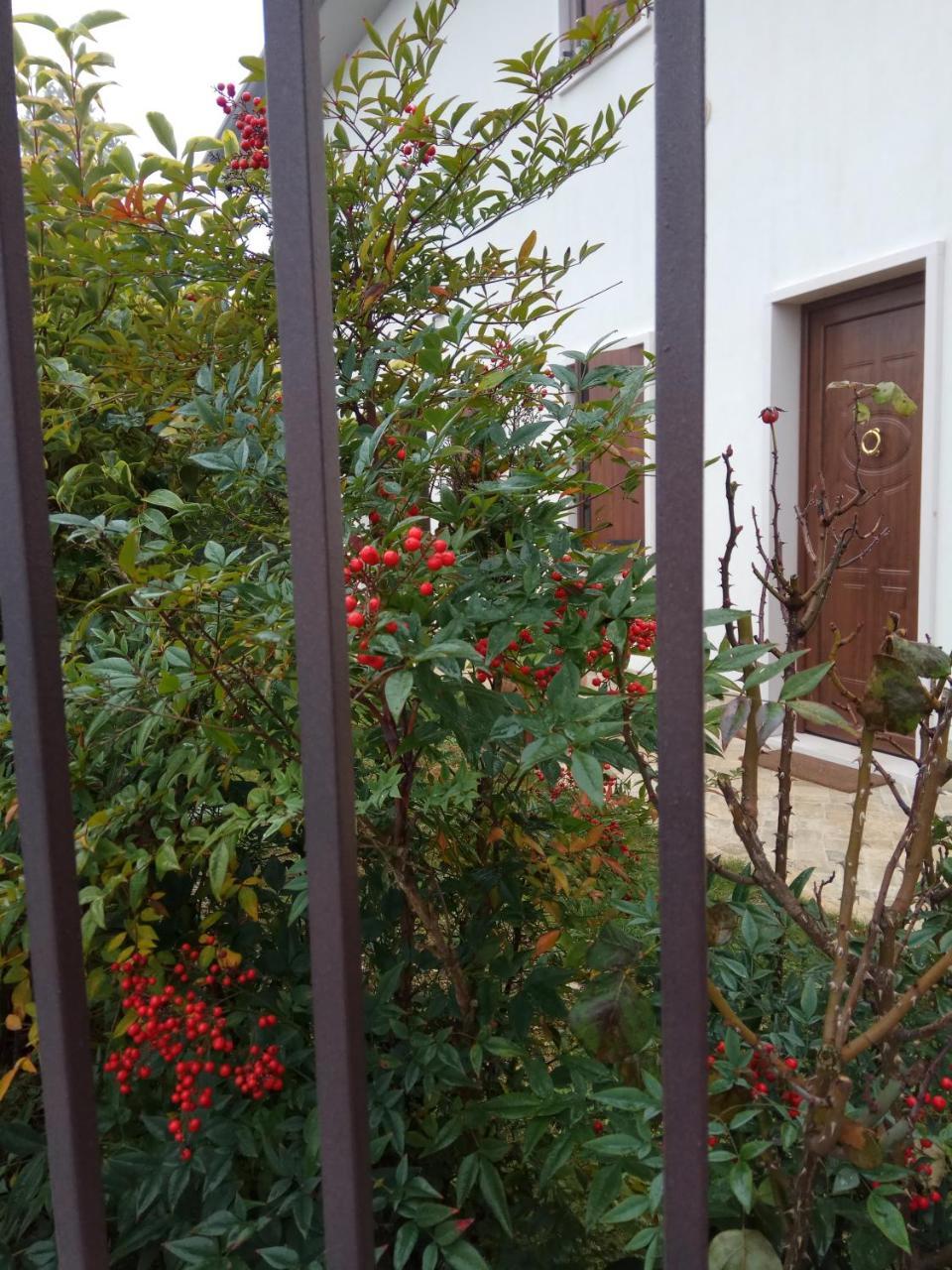 La Siesta Hotel Villafranca di Verona Kültér fotó